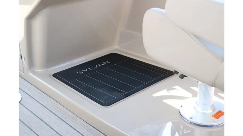 Slide: The Image of Sylvan L3 CLZ DH Tri Toon 2025 - 30