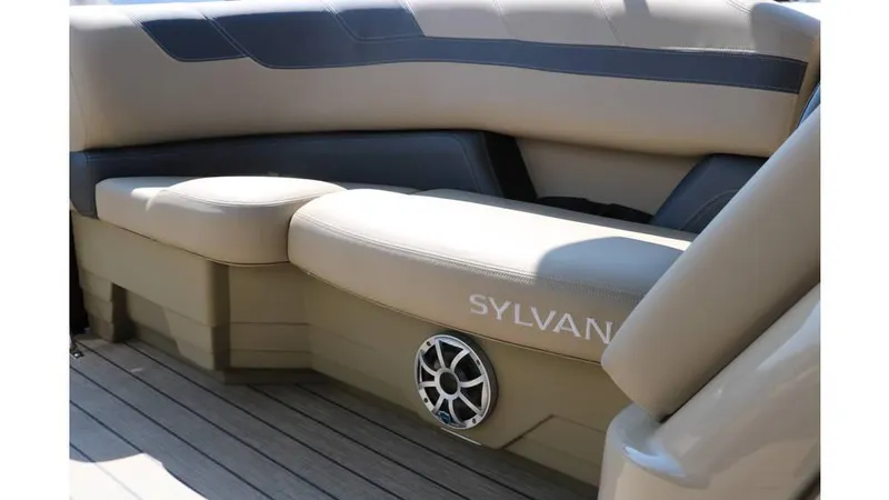 Slide: The Image of Sylvan L3 CLZ DH Tri Toon 2025 - 35