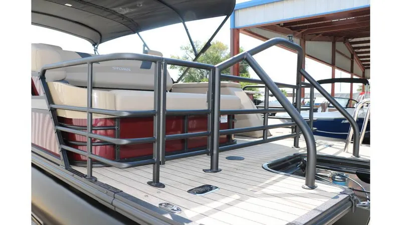 Slide: The Image of Sylvan L3 CLZ DH Tri Toon 2025 - 4