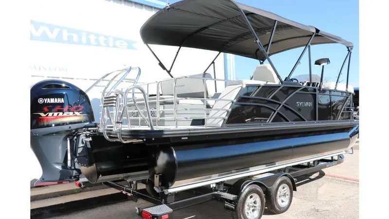 Slide: The Image of Sylvan Mirage X3 CLZ DH Tri Toon 2025 - 5