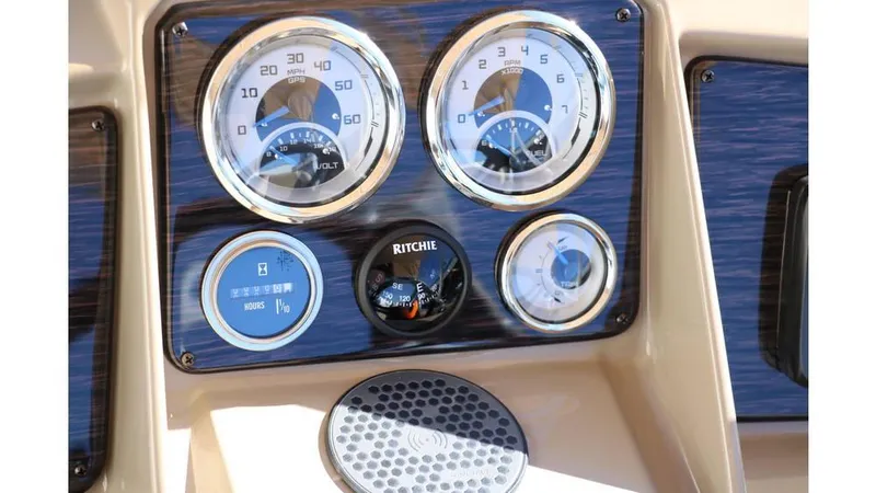 Slide: The Image of Sylvan Mirage 822 Party Fish Tri Toon 2024 - 32