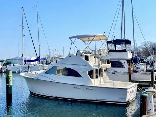The Image of 1990 Ocean Yachts 29 Super Sport docked at marina, surrounded by other boats. - 0