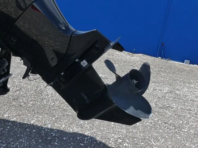 Slide: The Image of Lexington 323 2022 - 12