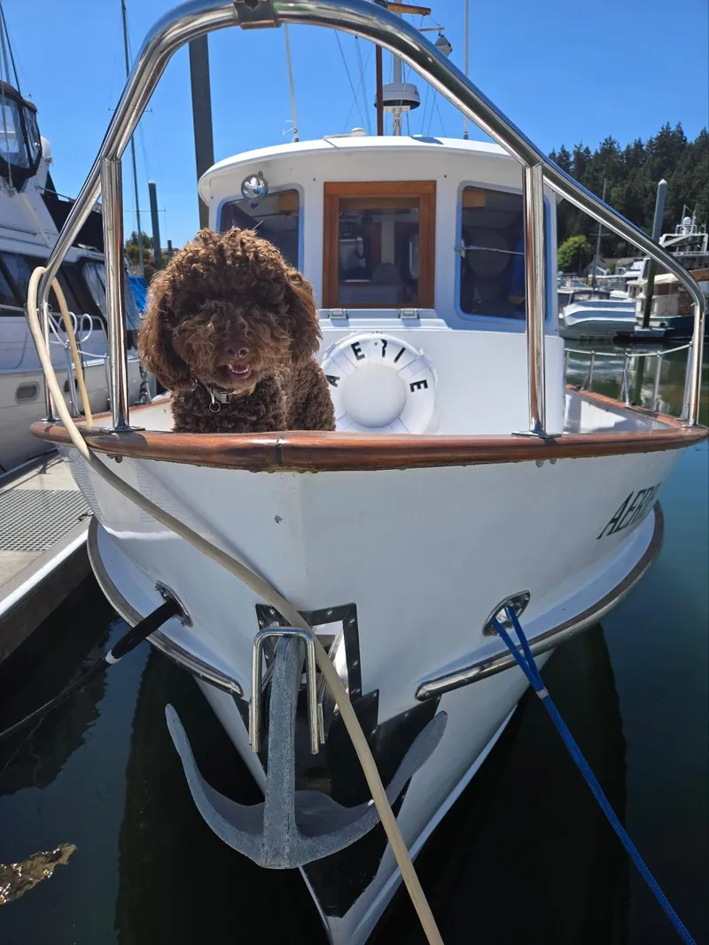 Slide: The Image of Brown dog on 1989 Eagle Pilothouse boat at marina. - 6