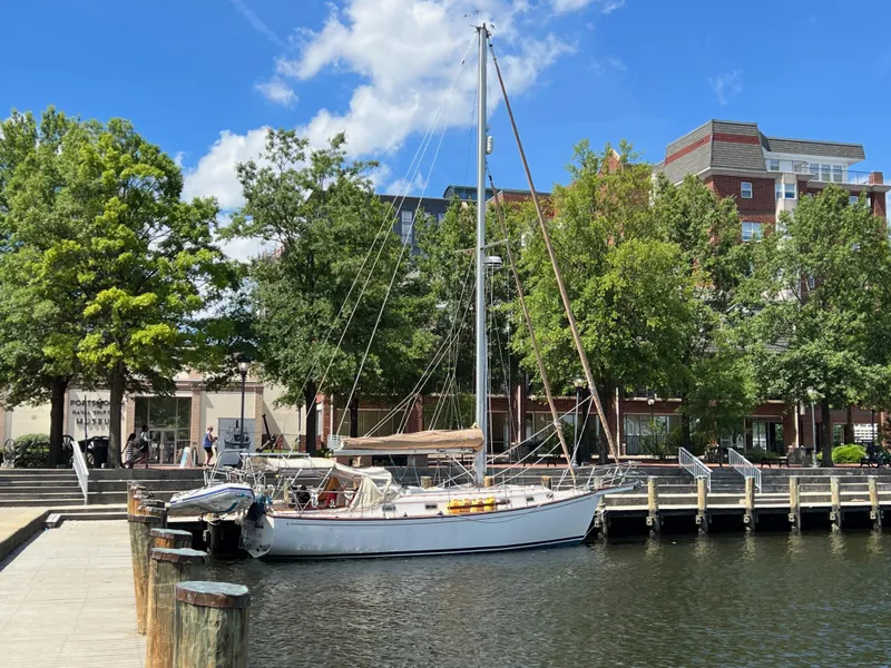The Image of 1987 Island Packet 38 sailboat docked by a waterfront park with trees and buildings. - 1
