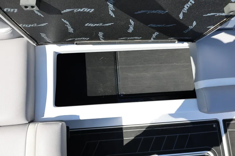 Slide: The Image of Tigé 22RZX 2021 - 57