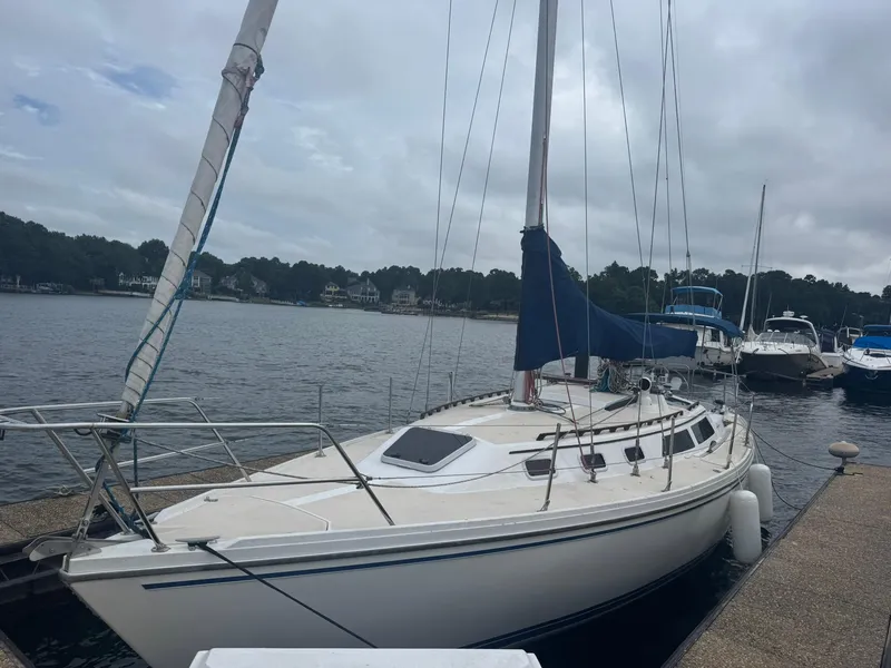 The Image of 1989 Catalina 34 sailboat docked at a marina on a cloudy day. - 0