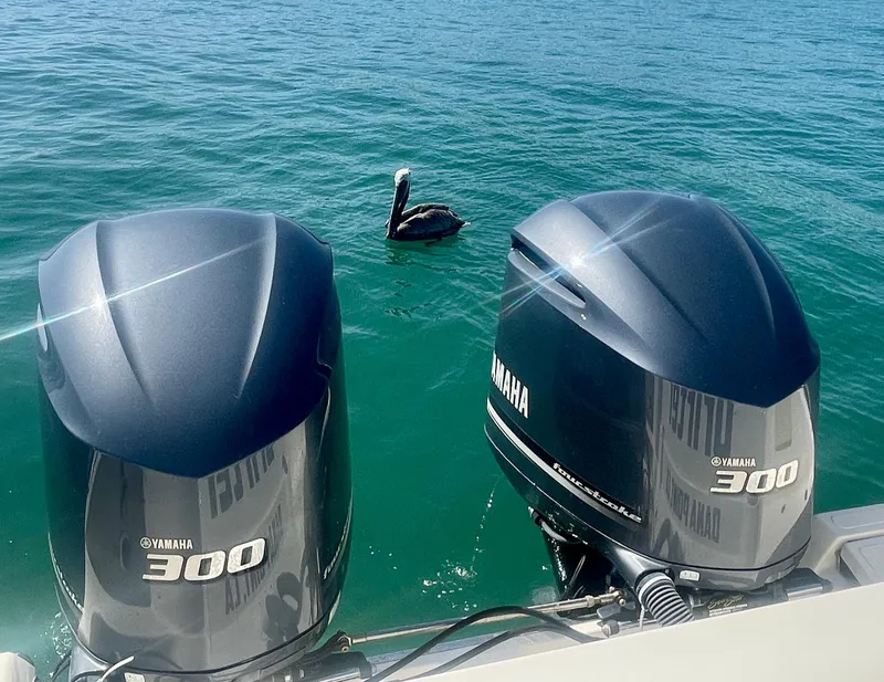 Slide: The Image of Twin Yamaha 300 engines on a 2011 Pursuit 315 Offshore, with a pelican nearby. - 34