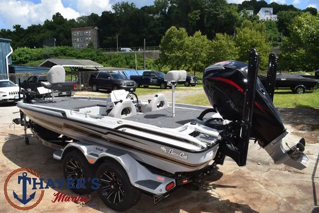 Slide: The Image of Bass Cat Cougar FTD 2025 - 11