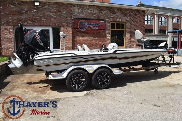 Slide: The Image of Bass Cat Cougar FTD 2025 - 3