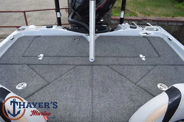 Slide: The Image of Bass Cat Cougar FTD 2025 - 51