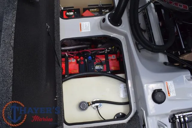 Slide: The Image of Bass Cat Cougar FTD 2025 - 59