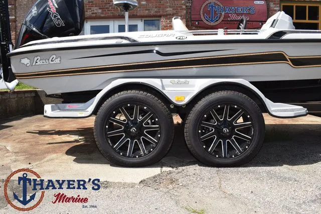 Slide: The Image of Bass Cat Cougar FTD 2025 - 6