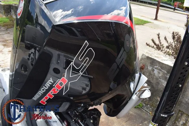 Slide: The Image of Bass Cat Cougar FTD 2025 - 60