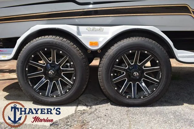 Slide: The Image of Bass Cat Cougar FTD 2025 - 7