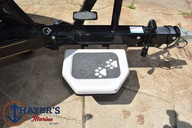 Slide: The Image of Bass Cat Cougar FTD 2025 - 9