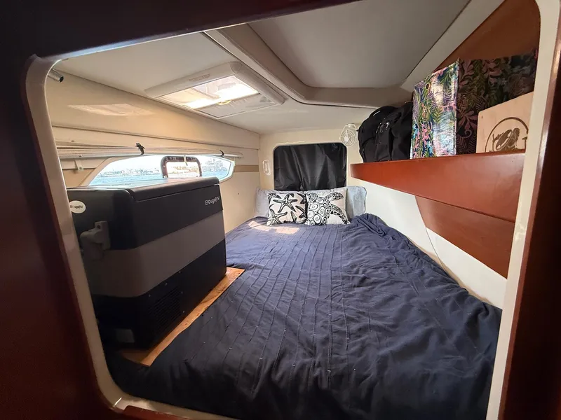 Slide: The Image of Leopard 39 2012 - 53