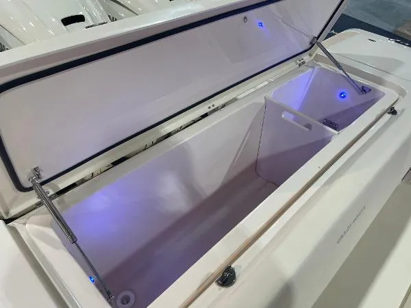 Slide: The Image of Grady-White Canyon 386 2025 - 37