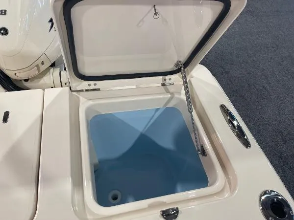 Slide: The Image of Grady-White Canyon 386 2025 - 38