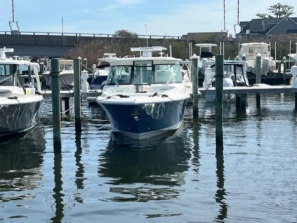 Slide: The Image of Tiara 34lx 2025 - 10