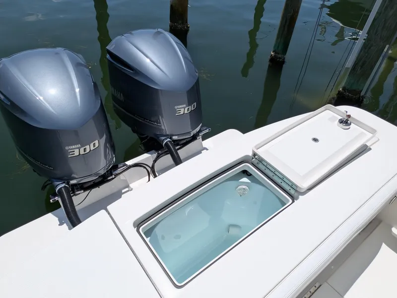 Slide: The Image of REGULATOR 28 LIVEWELL - 33