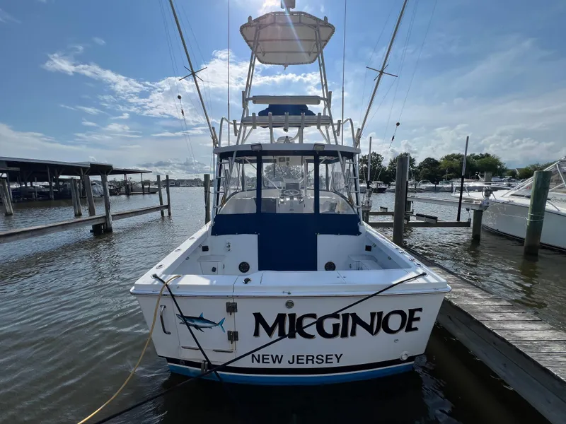 Slide: The Image of Luhrs 290 Open 1994 - 3