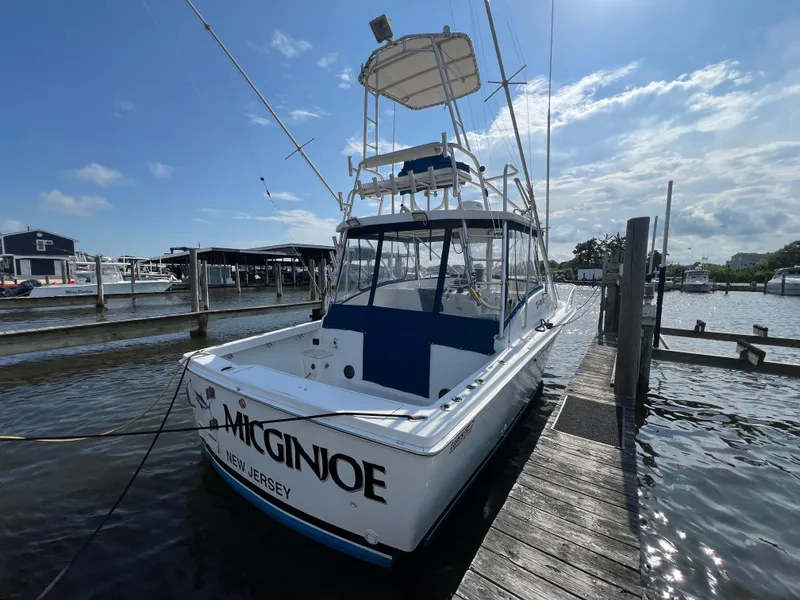 Slide: The Image of Luhrs 290 Open 1994 - 4