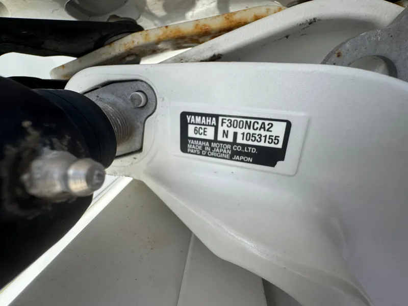 Slide: The Image of World Cat 3200 2019 - 78