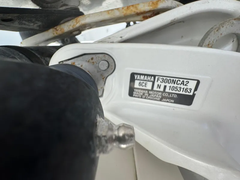 Slide: The Image of World Cat 3200 2019 - 79