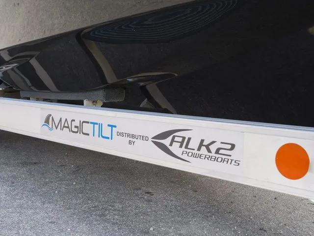 Slide: The Image of ALK2 25CRXL 2025 - 16