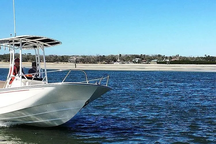 Slide: The Image of 2025 Boston Whaler 190 Montauk boat cruising on a sunny day near the shore. - 11