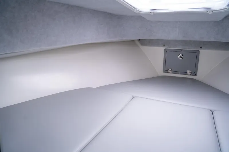 Slide: The Image of Defiance 260 Admiral EX 2025 - 25