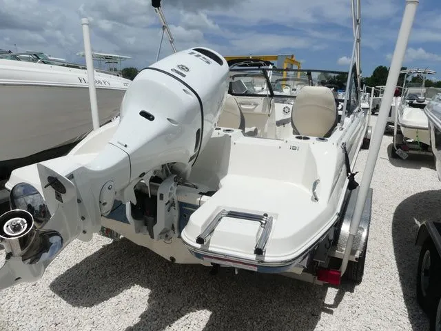 Slide: The Image of Stingray 191DC 2023 - 3