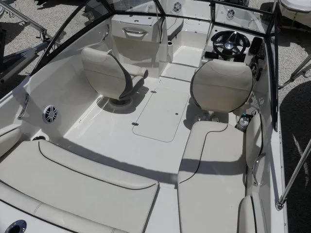 Slide: The Image of Stingray 191DC 2023 - 4