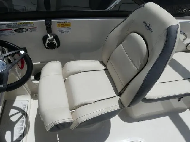 Slide: The Image of Stingray 191DC 2023 - 7