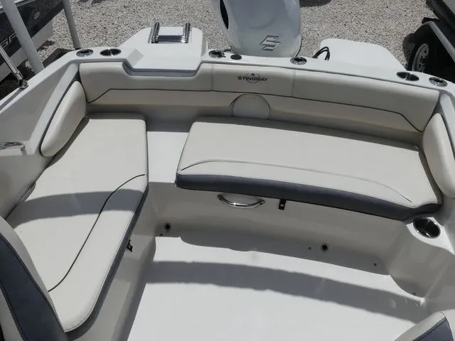 Slide: The Image of Stingray 191DC 2023 - 8