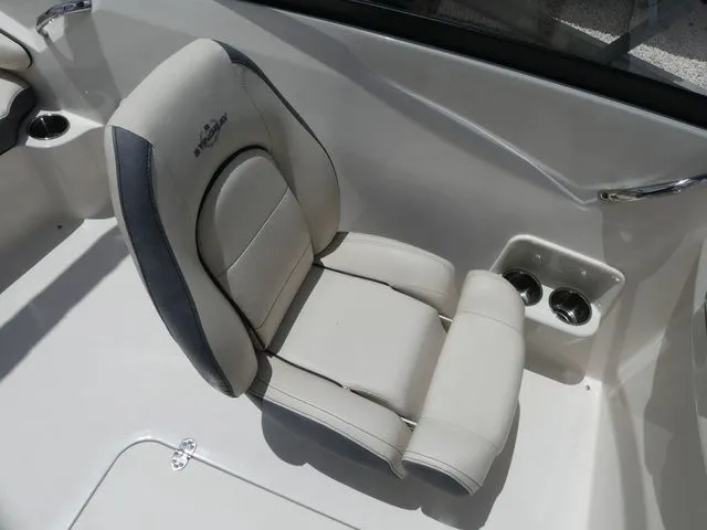 Slide: The Image of Stingray 191DC 2023 - 9