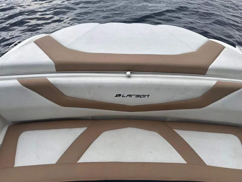 Slide: The Image of Larson LX 195 2013 - 6