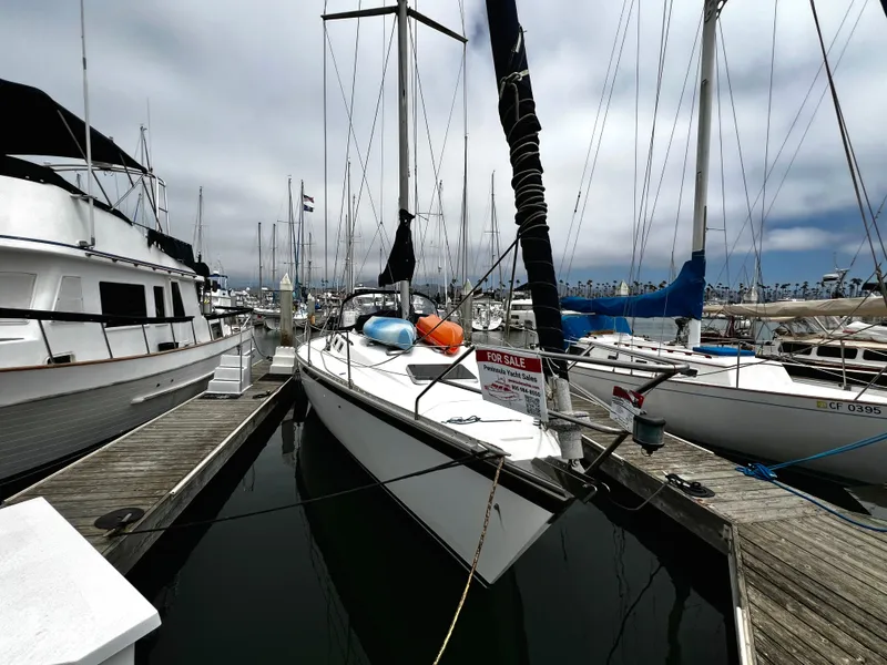 Slide: The Image of Sailboat for sale at marina, 1988 Hunter 40 model, docked among other boats. - 4