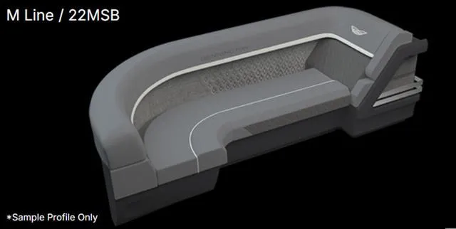 Slide: The Image of Bennington M Swingback 22 MSB 2025 - 3