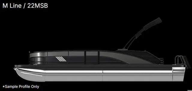 Slide: The Image of Bennington M Swingback 22 MSB 2025 - 1