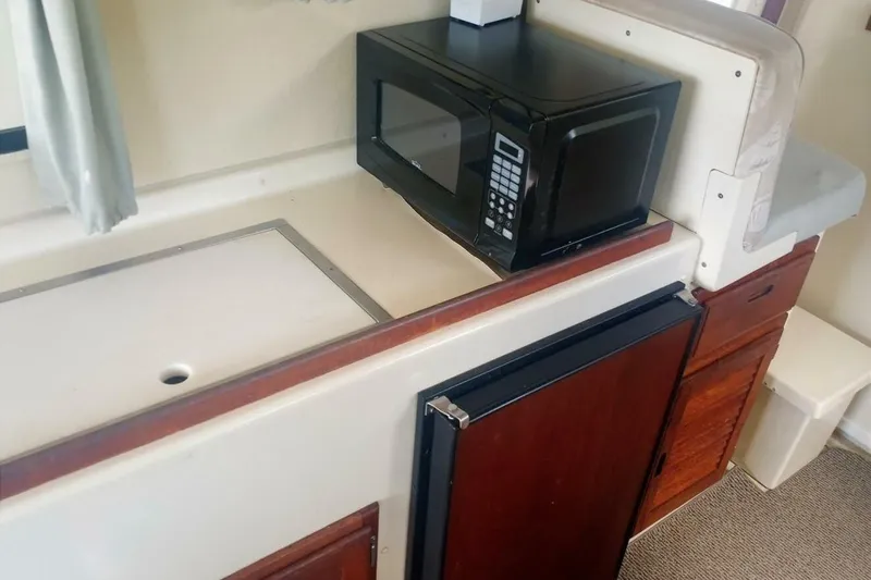 Slide: The Image of 2005 Rosborough RF-246 Sedan Cruiser interior with microwave and compact kitchen setup. - 61