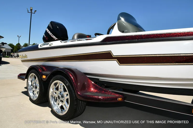 Slide: The Image of Bass Cat Cougar FTD 2007 - 12