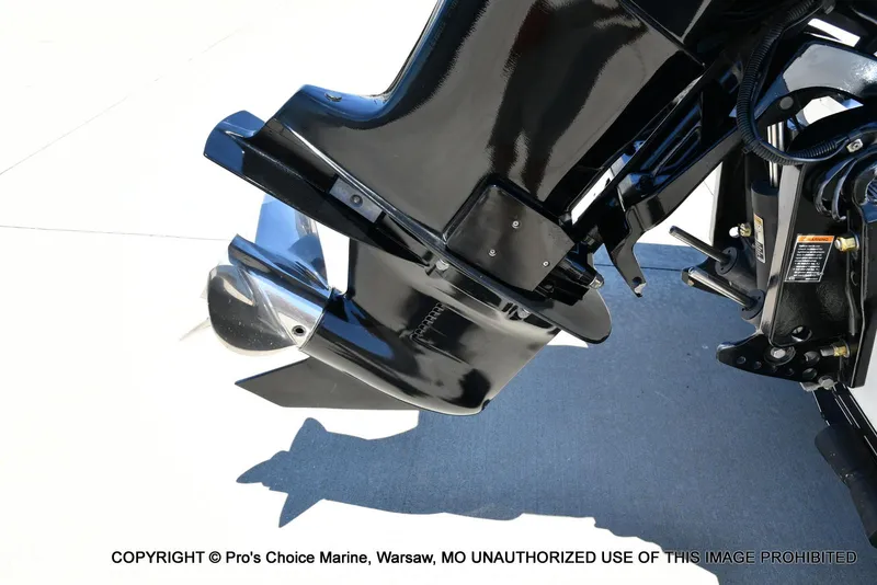 Slide: The Image of Bass Cat Cougar FTD 2007 - 18