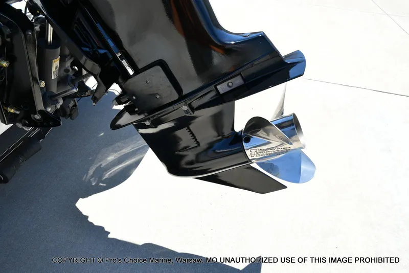 Slide: The Image of Bass Cat Cougar FTD 2007 - 19