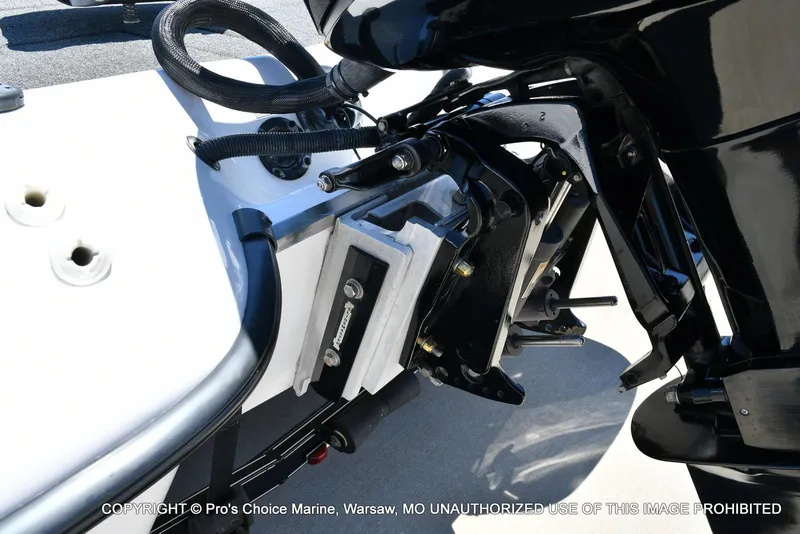 Slide: The Image of Bass Cat Cougar FTD 2007 - 20