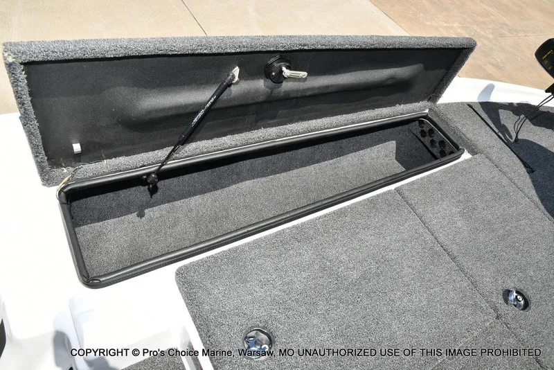 Slide: The Image of Bass Cat Cougar FTD 2007 - 70