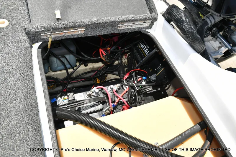 Slide: The Image of Bass Cat Cougar FTD 2007 - 78