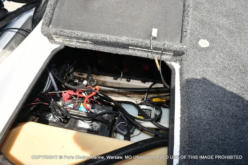 Slide: The Image of Bass Cat Cougar FTD 2007 - 80