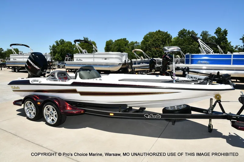 Slide: The Image of Bass Cat Cougar FTD 2007 - 85